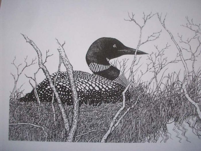 Loon Note Cards