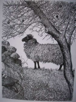 Sheep&Apple Tree Note Cards