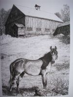 Horse and Barn Note Cards