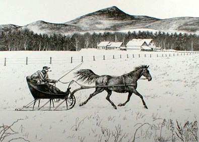 Horse & Sleigh Pen & Ink Print