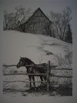 Horse and Fence Pen & Ink Print