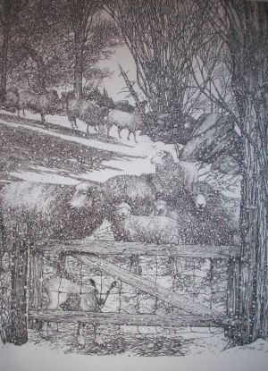 Sheep and Gate Pen & Ink Print