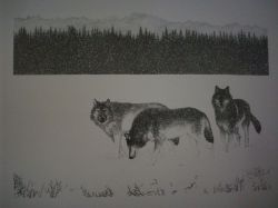 Wolves Pen & Ink Print